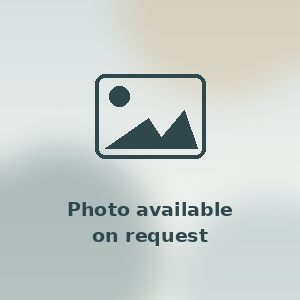 Studio to rent in Croydon, CR0 1YB £950 pcm